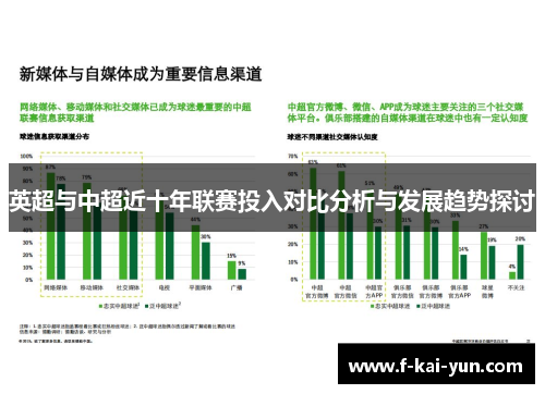 英超与中超近十年联赛投入对比分析与发展趋势探讨