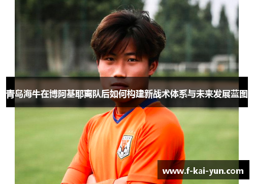 青岛海牛在博阿基耶离队后如何构建新战术体系与未来发展蓝图