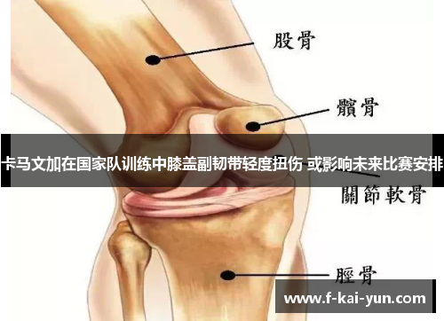 卡马文加在国家队训练中膝盖副韧带轻度扭伤 或影响未来比赛安排